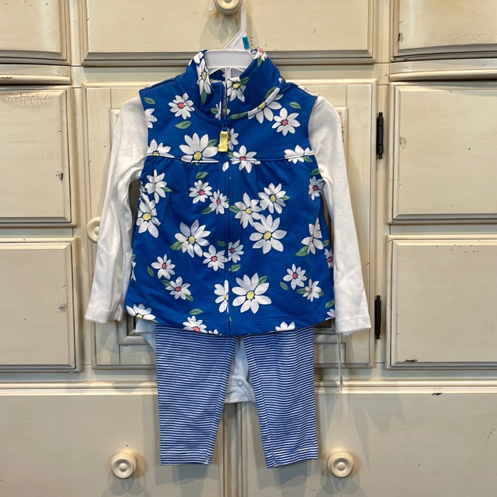 NWT 24 mo Carter’s outfit